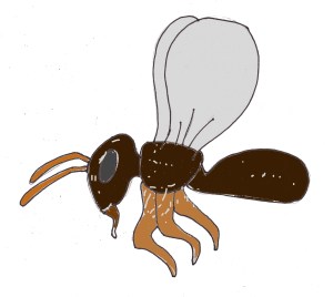 Schools and students have permission to use this graphic for non-commercial, educational purposes.