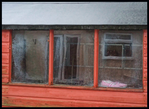 This is the photo prompt from the 100WCGU site.